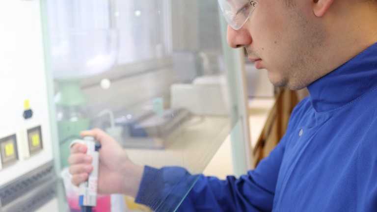 Can bacterial viruses improve the microbiological safety of raw milk cheeses? 