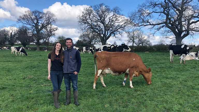 PhD student Highly Commended as Young Farmer of the Year in Cream Awards