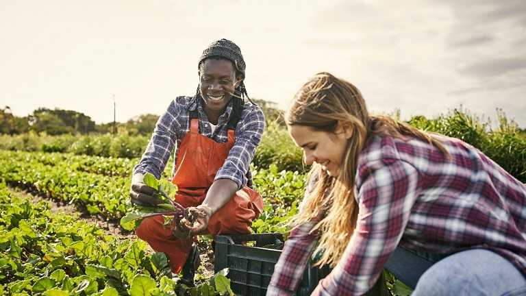 New Africa Agribusiness Qualification programme launched - with Harper Adams University as partner