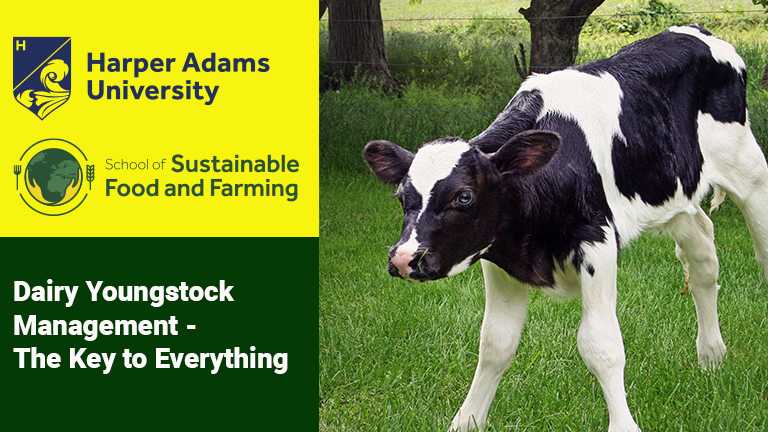 Dairy Calf Rearing event set to share knowledge with farmers