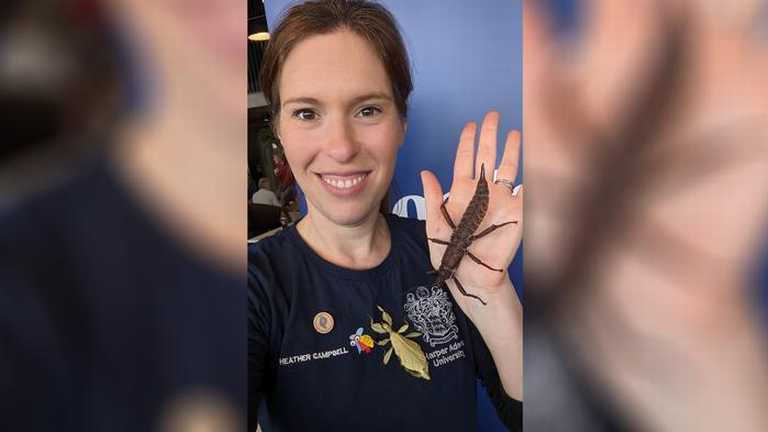 Dr Heather Campbell at a Harper Adams University Open Day with a stick insect