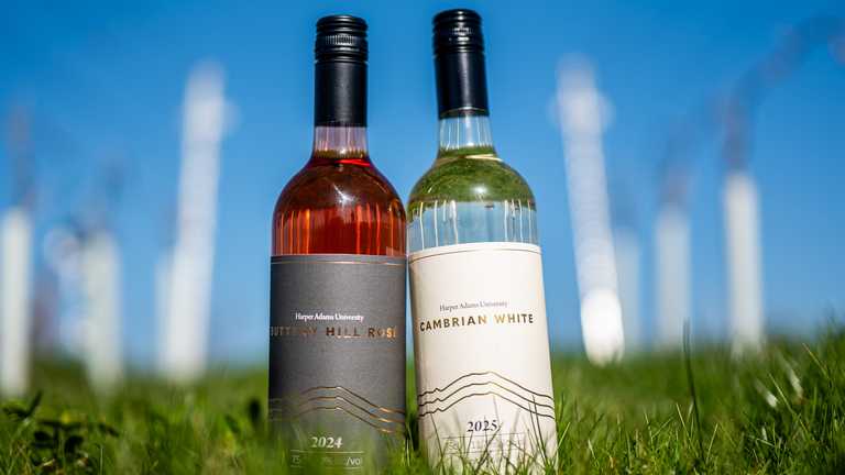 First wines from Harper Adams University's vineyard to be launched this week