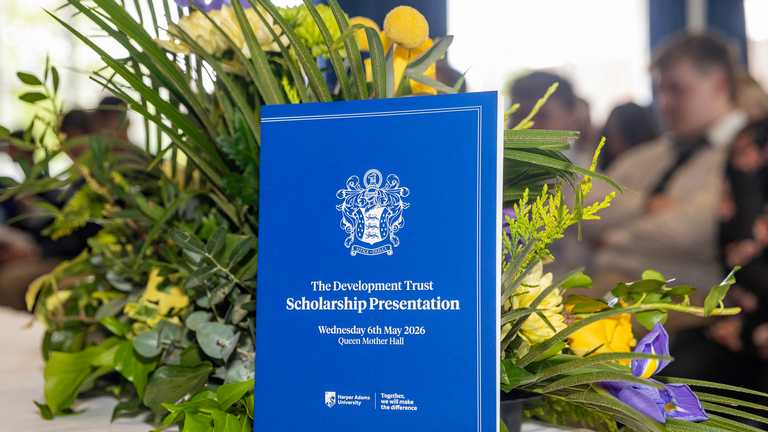 Lasting impact of scholarships marked at annual presentation