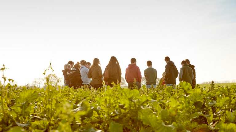 Teaching being carried out in a field on the Harper Adams University Future Farm