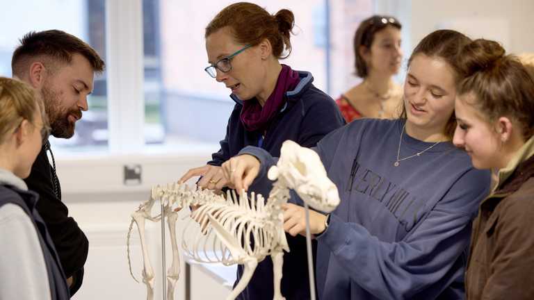 Students learning in the Veterinary Education Centre at ���붯��