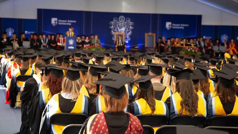 The graudation crowd at the 2026 graduation