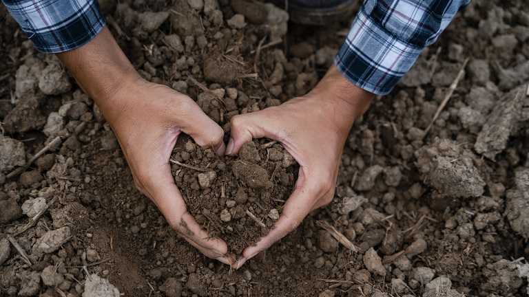 Hands form a heart shape around soil