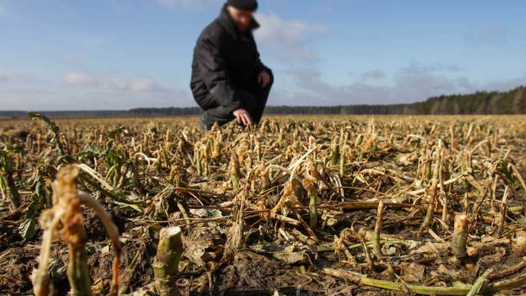 A stock image of a farmer tending his crops in a drought
