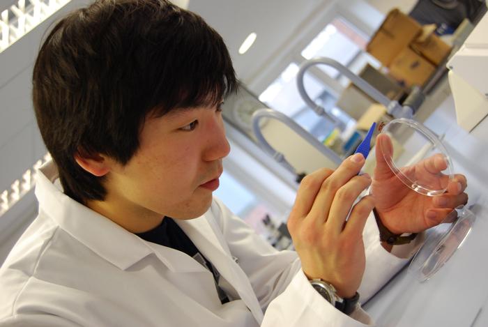 Eneree working in one of the laboratories at Harper Adams