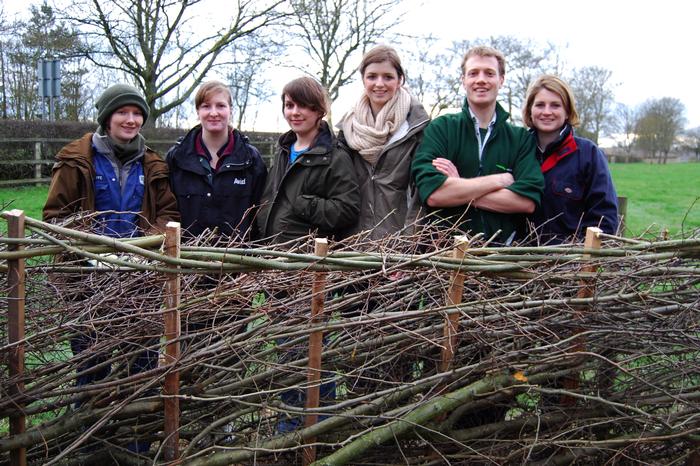 Students during the hedgelaying training