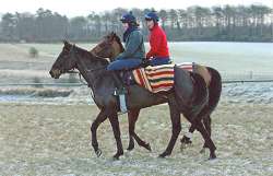 Jenny while on placement at Henrietta Knight's National Hunt Yard