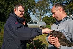 Brendon Fletcher-Chard teachers animal handling to a day farmer