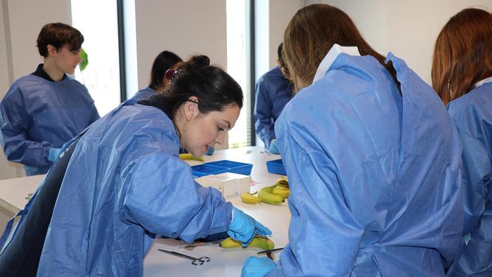 Students 'operate' on bananas as part of the Future Vet scheme
