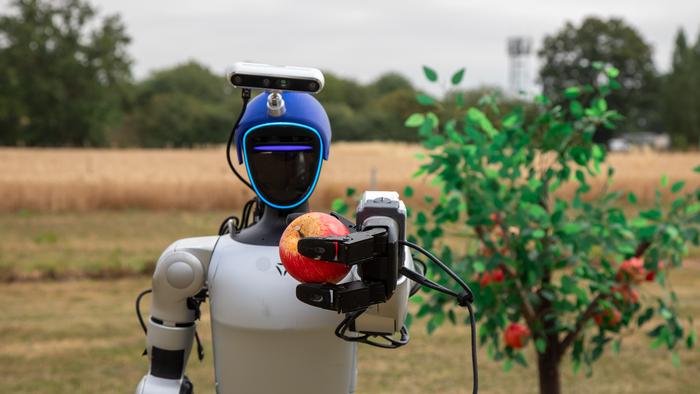 A humanoid robot holds an apple up in fornt of a farm field on the Harper Adams University campus