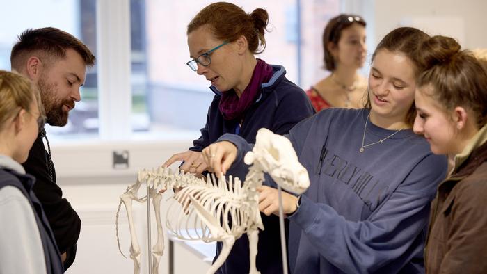 Students learning in the Veterinary Education Centre at ���붯��