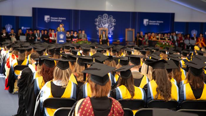 The graudation crowd at the 2026 graduation