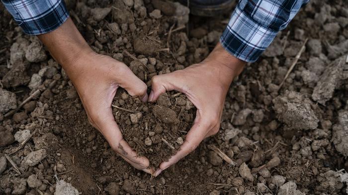 Hands form a heart shape around soil