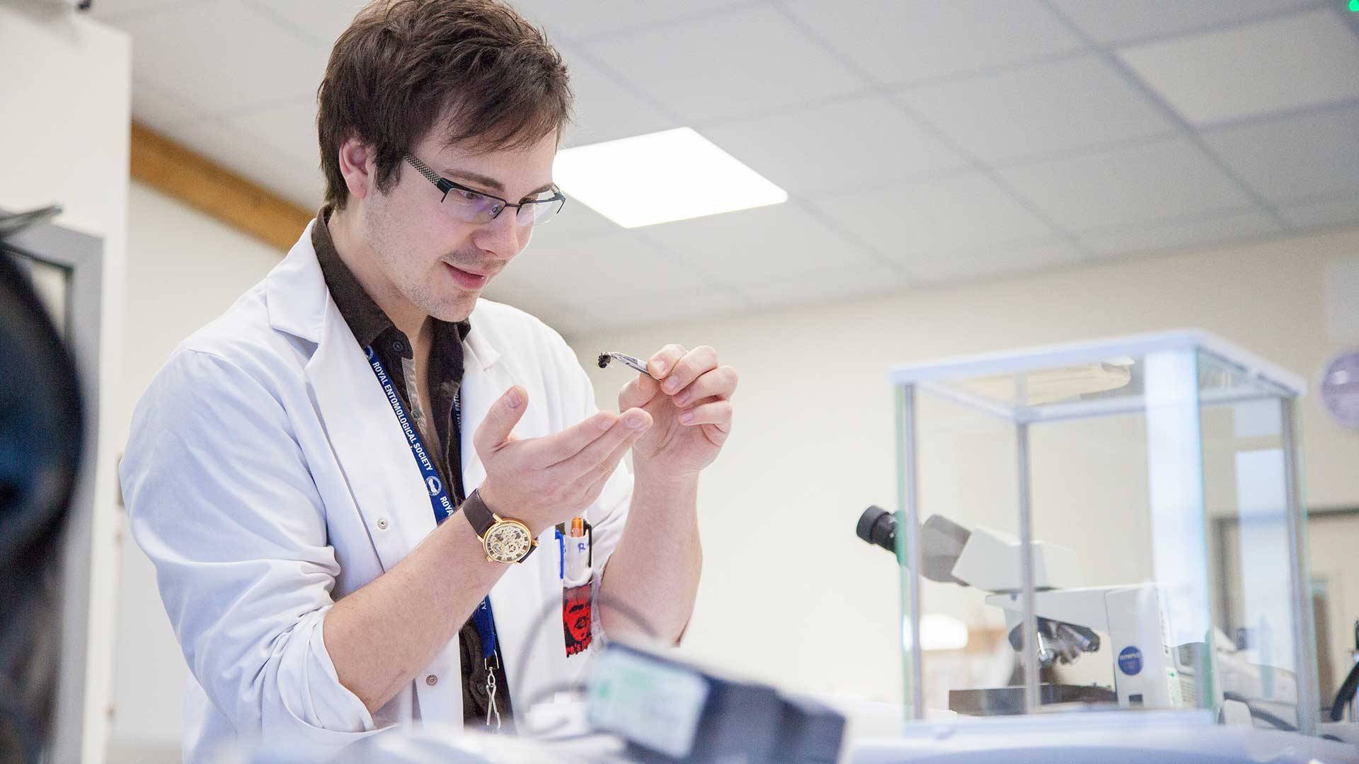 Entomology researcher