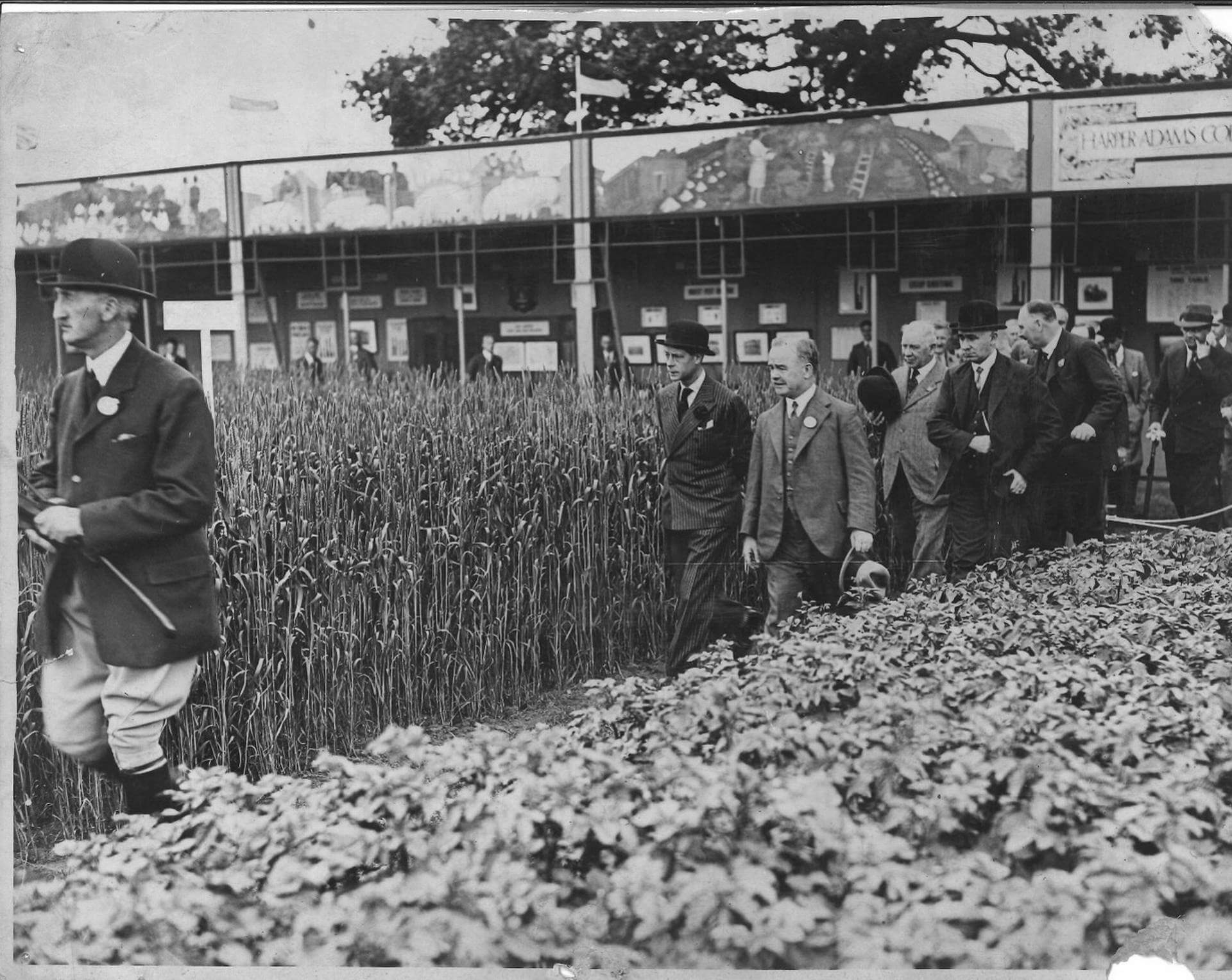HRH Edward, Prince of Wales at the Royal Show 1931