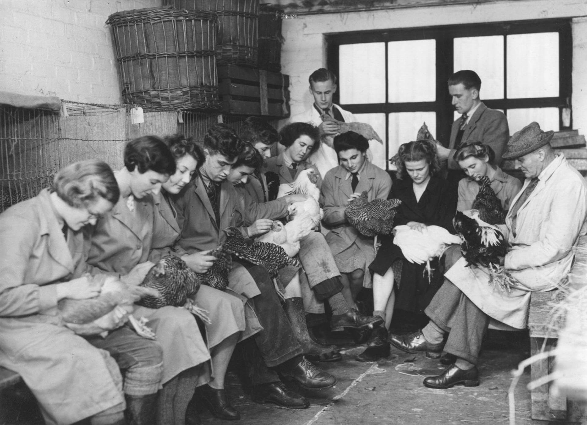 Poultry students