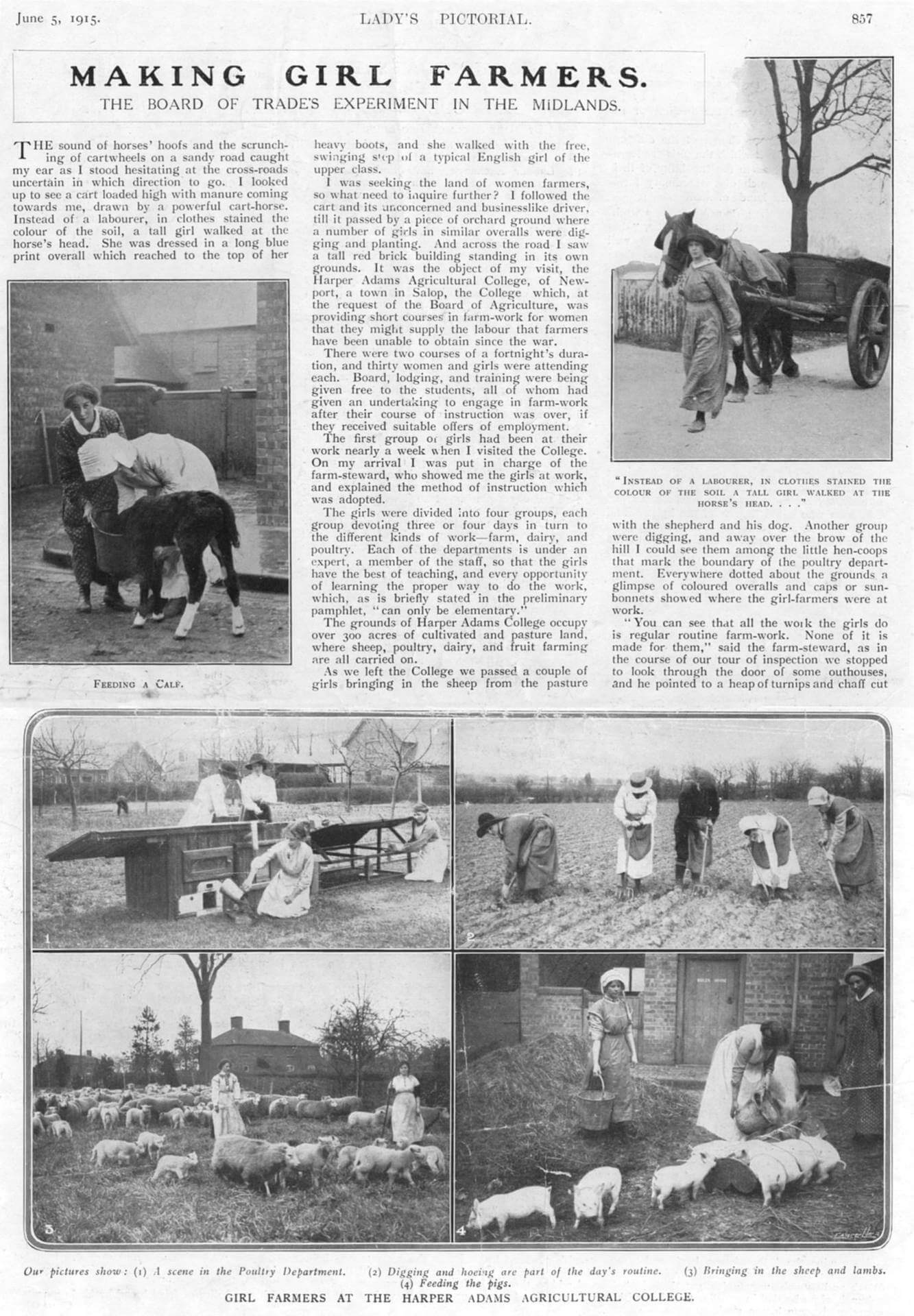 Magazine article 1915