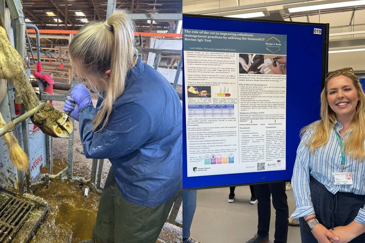 Photograph of Leah wearing waterproof overalls carrying out hoof care, next to a photograph of Leah standing in front of a research photograph 