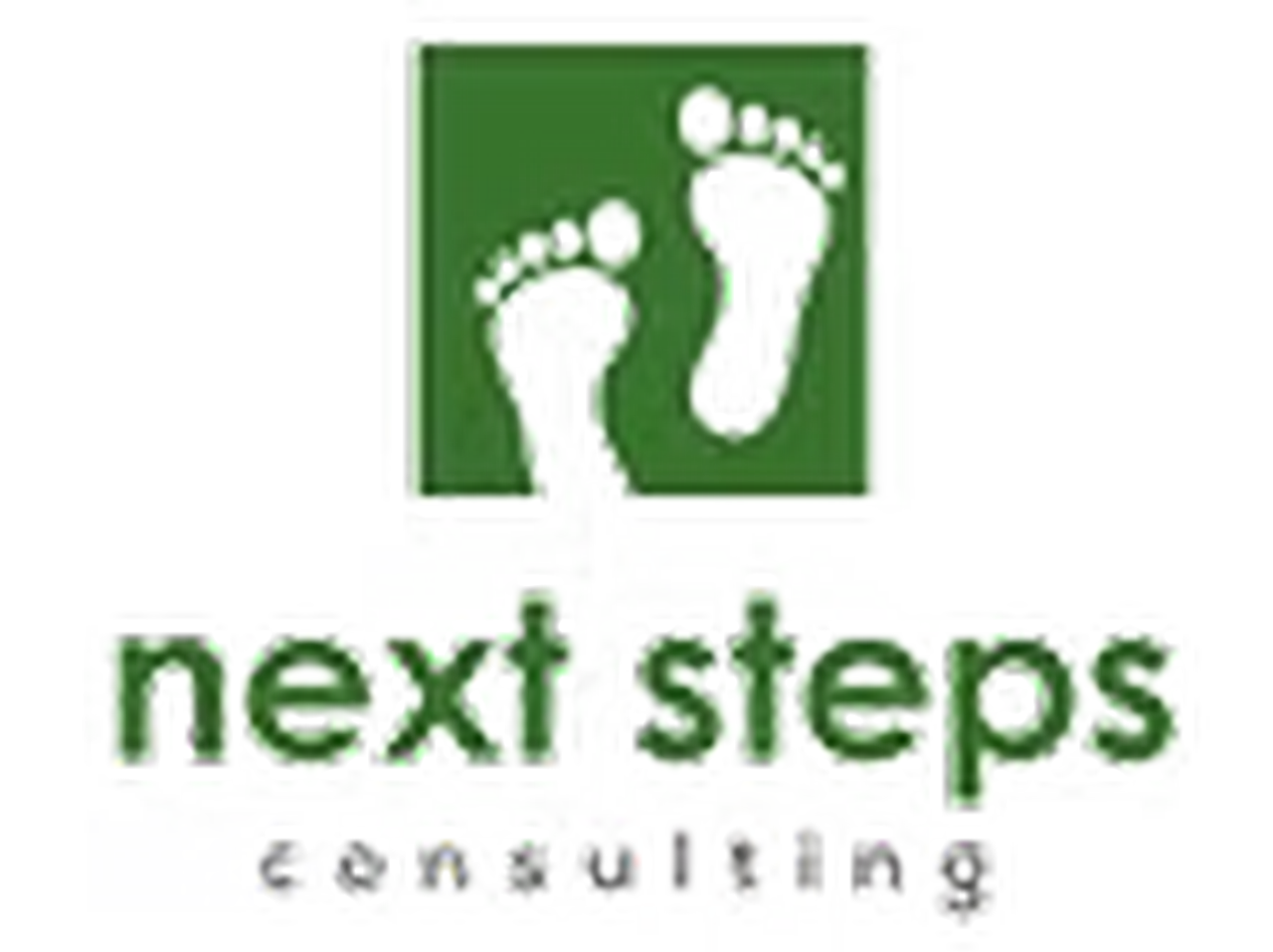 Next Steps Consulting