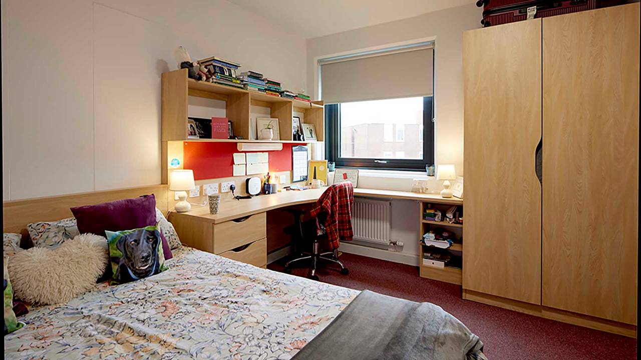 Superior en-suite, Barnes Hall