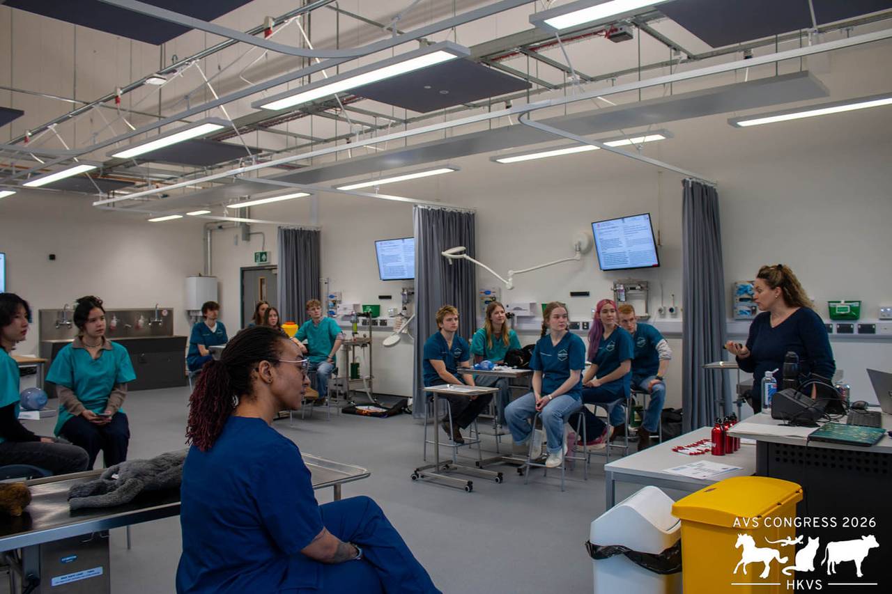 Clinical skills room with several groups of AVS attendees seated around benches, presenter standing at the front of the room talking to the group.