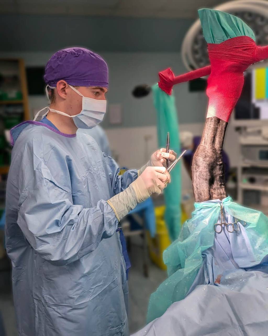 Photograph of Lewis on placement at  the Leahurst Equine Hospital