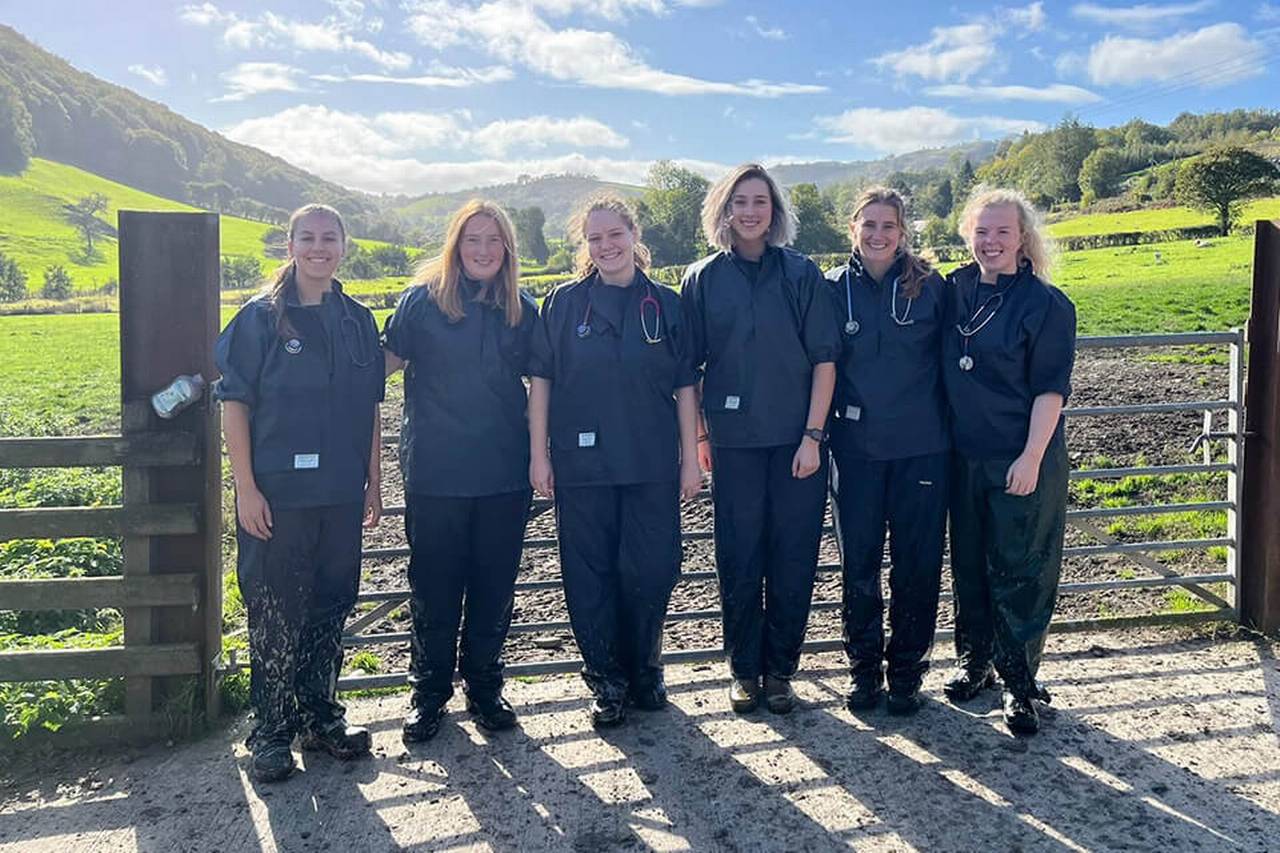 Harriet alongside her HKVS rotation group