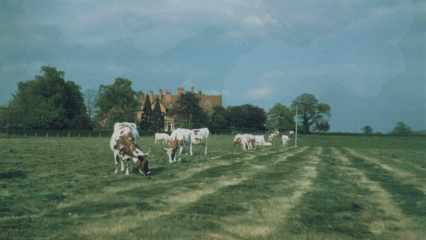 Farm