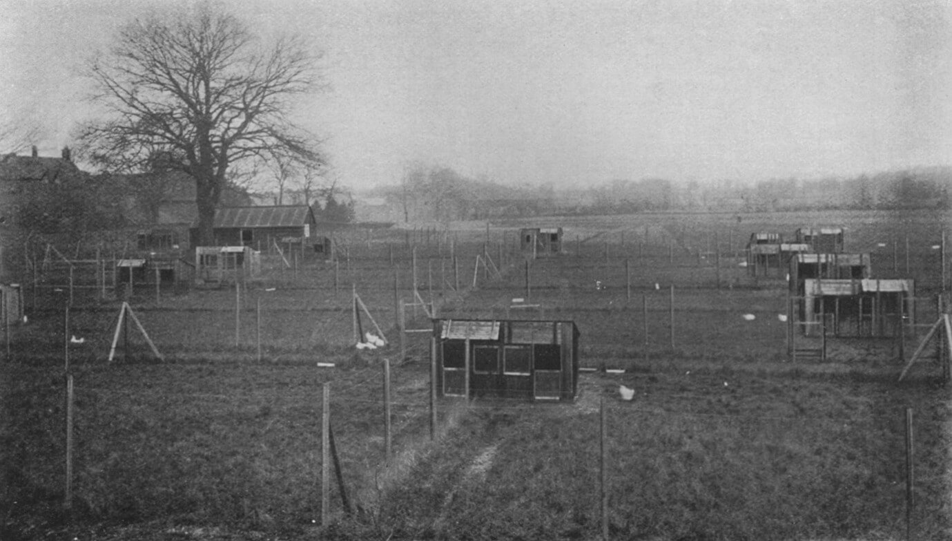 Egg laying trials