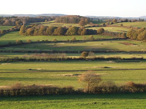 Dudmaston landscape