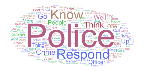 Focus Group Word Cloud